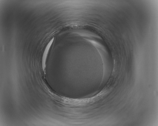 X0000058780048200510171305