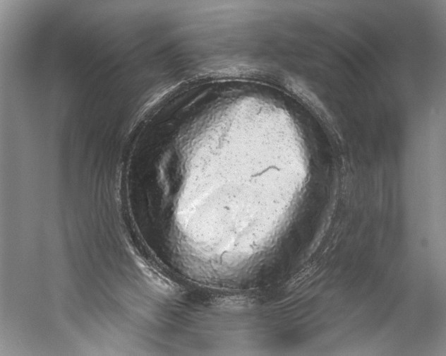 X0000058780058200510171304