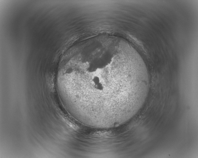 X0000058780065200510171304