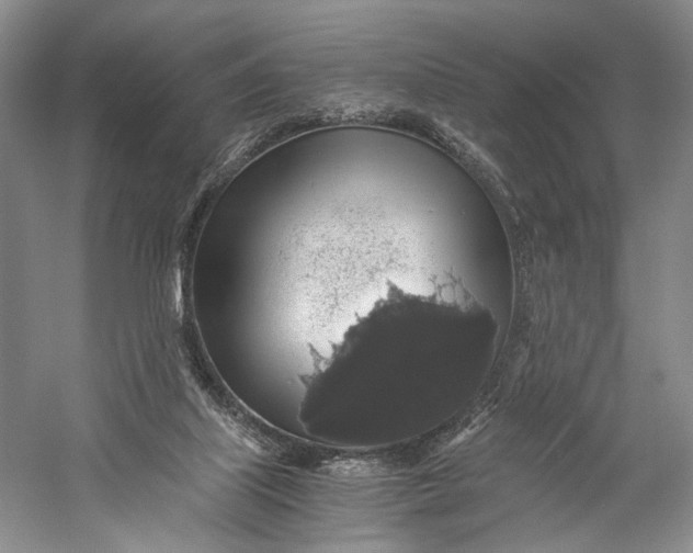 X0000058780067200510171304