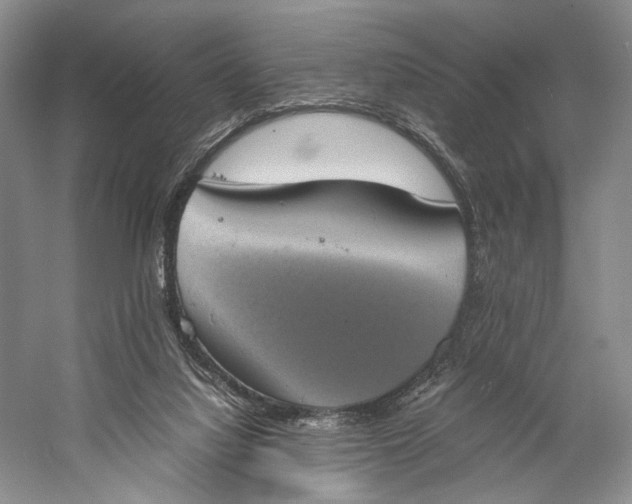 X0000058780068200510171304