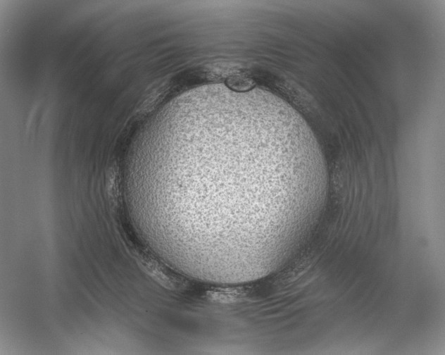 X0000058780079200510171304