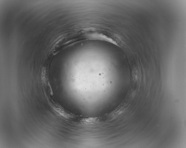 X0000058780092200510171305