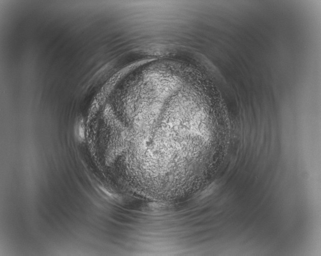 X0000058780095200510171305