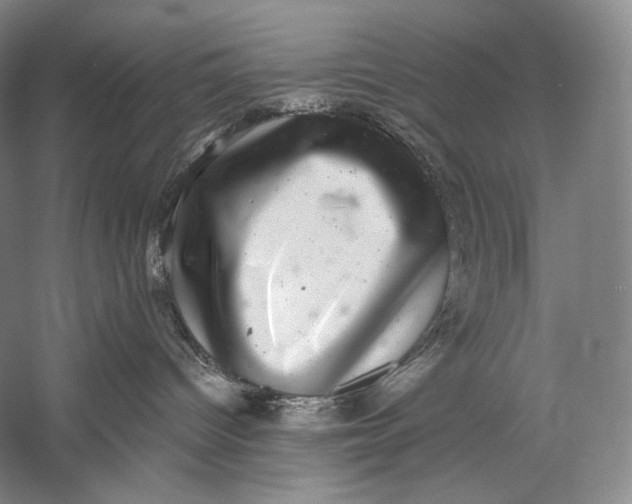 X0000058780096200510171305