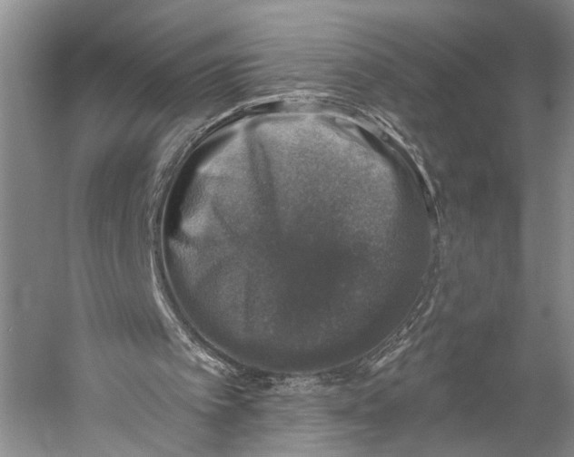 X0000058780097200510171304