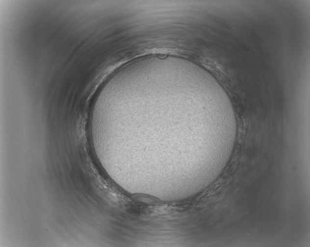 X0000058780098200510171304