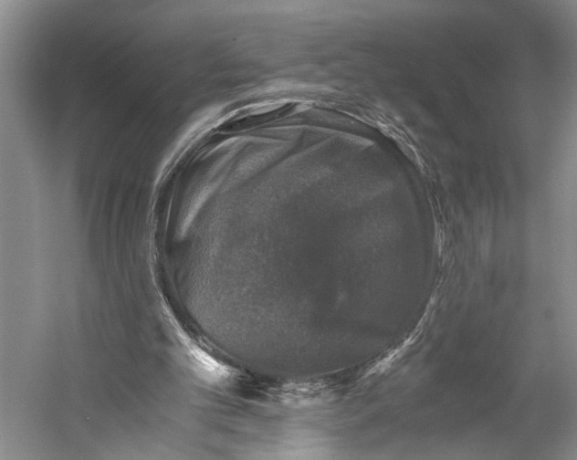 X0000058780101200510171304