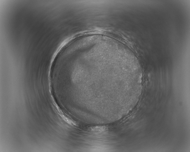 X0000058780102200510171304