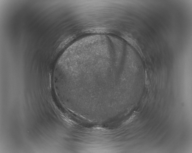 X0000058780109200510171304