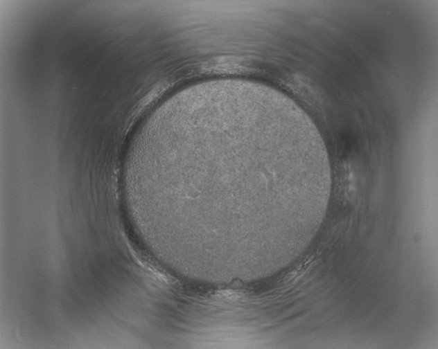 X0000058780111200510171304