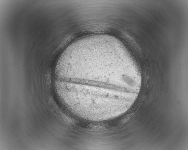 X0000058780113200510171303