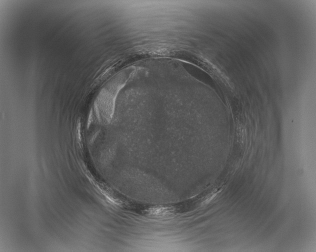 X0000058780117200510171303