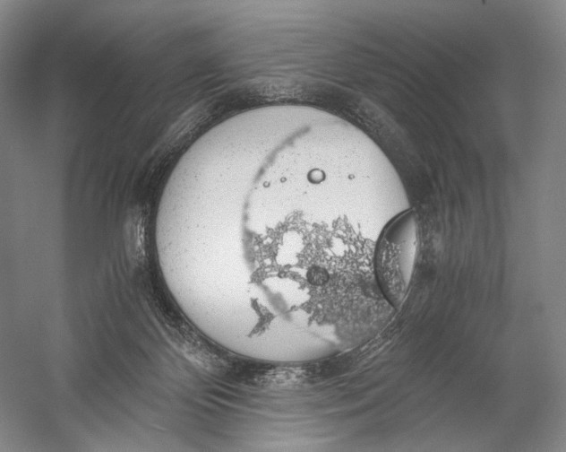 X0000058780124200510171303