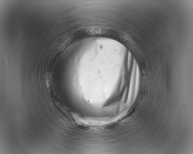 X0000058780125200510171303