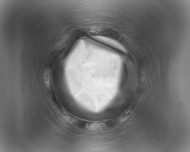 X0000058780129200510171303