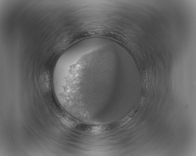 X0000058780130200510171303