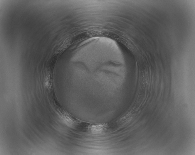 X0000058780134200510171303