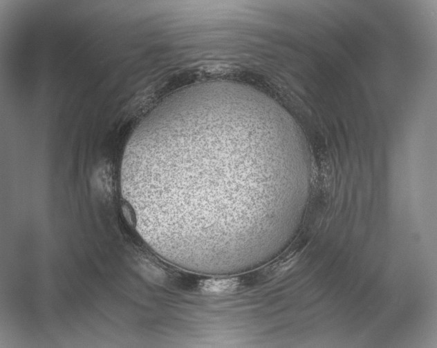 X0000058780135200510171303