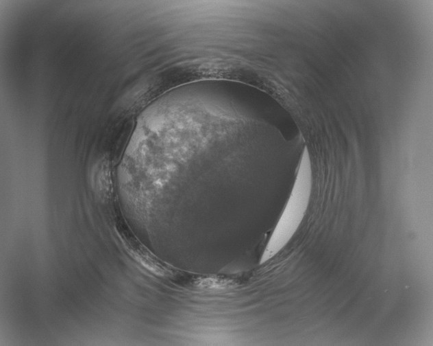 X0000058780137200510171303