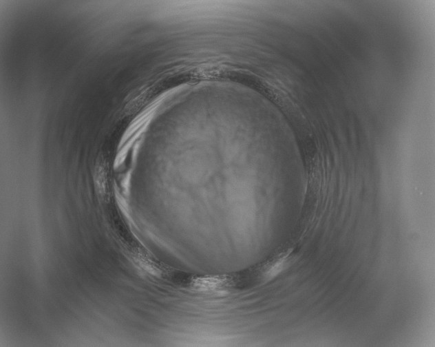 X0000058780139200510171303