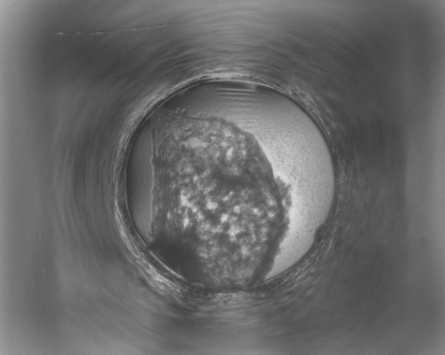 X0000058780145200510171302