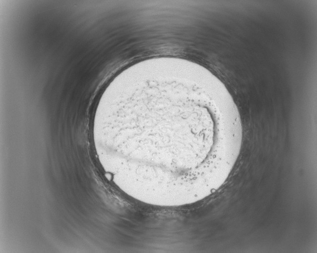 X0000058780146200510171302