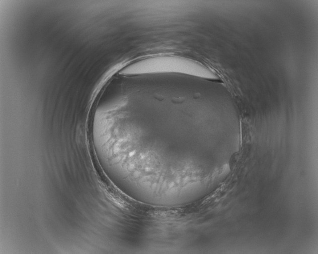 X0000058780147200510171302