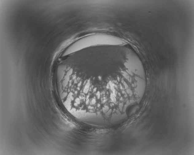 X0000058780149200510171302