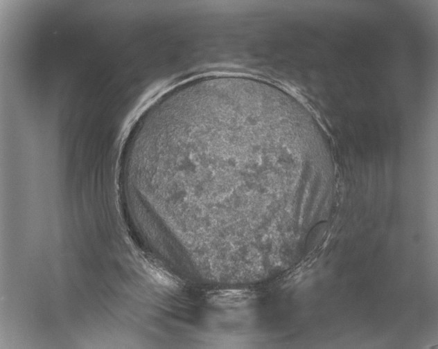 X0000058780151200510171302