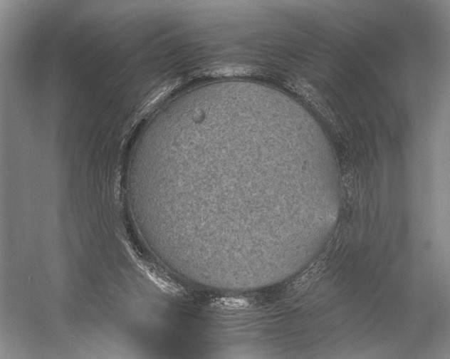 X0000058780159200510171302