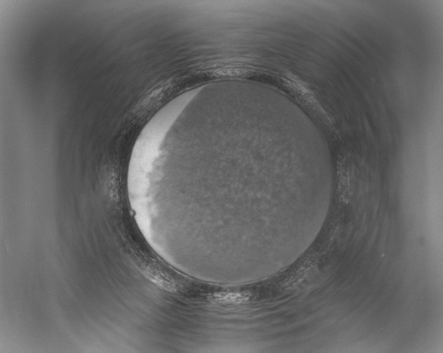 X0000058780161200510171302