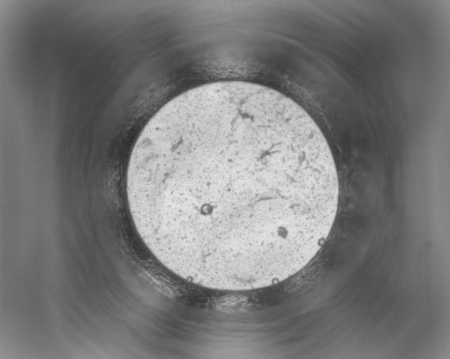 X0000058780162200510171302