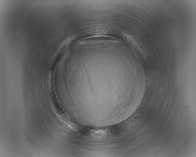 X0000058780163200510171302