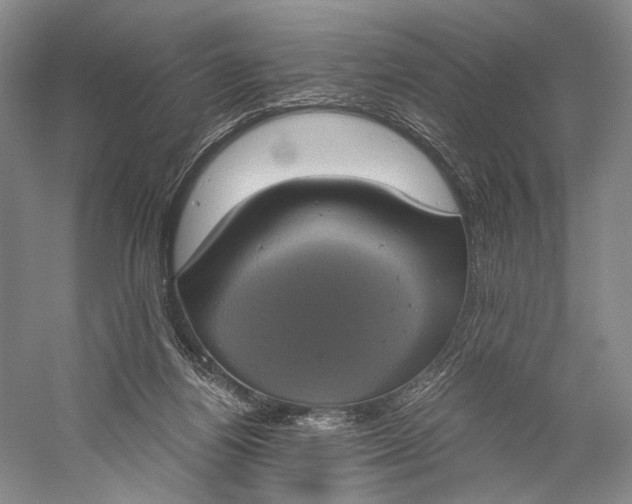 X0000058780164200510171302