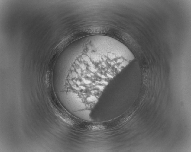 X0000058780165200510171302