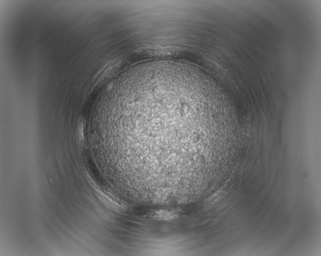 X0000058780166200510171302