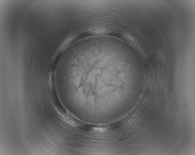 X0000058780167200510171302