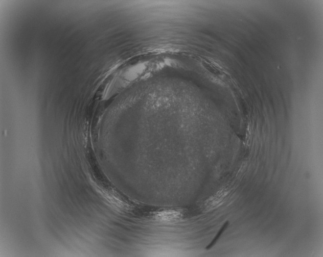 X0000058780168200510171303