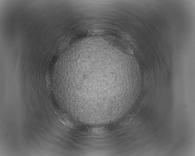 X0000058780173200510171303