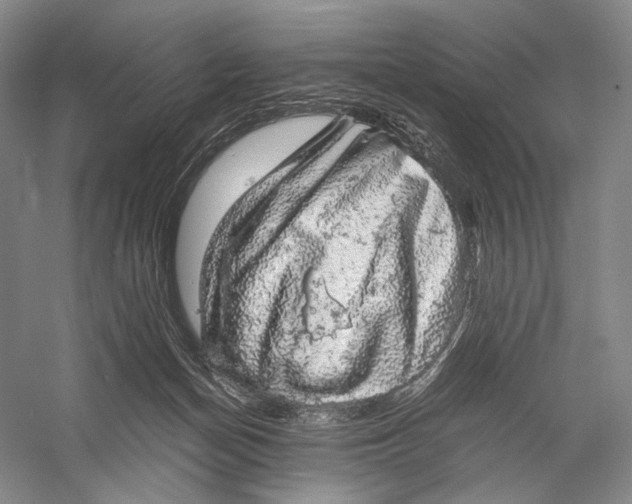 X0000058780174200510171303