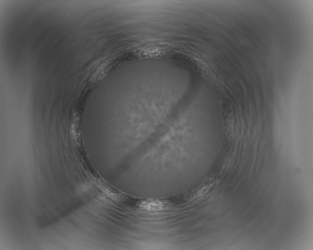 X0000058780181200510171303