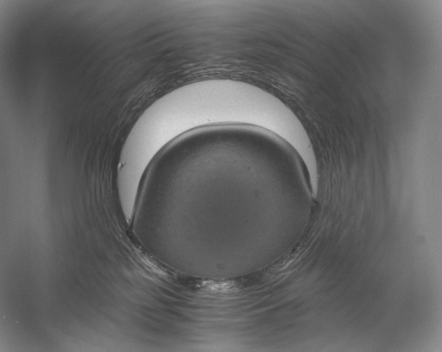 X0000058780185200510171303