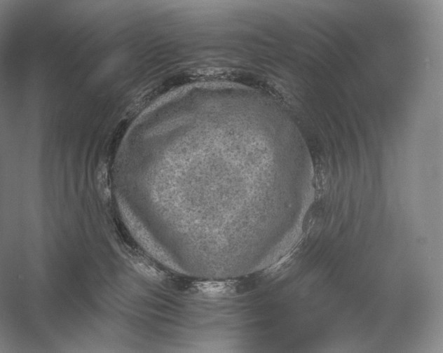 X0000058780187200510171303