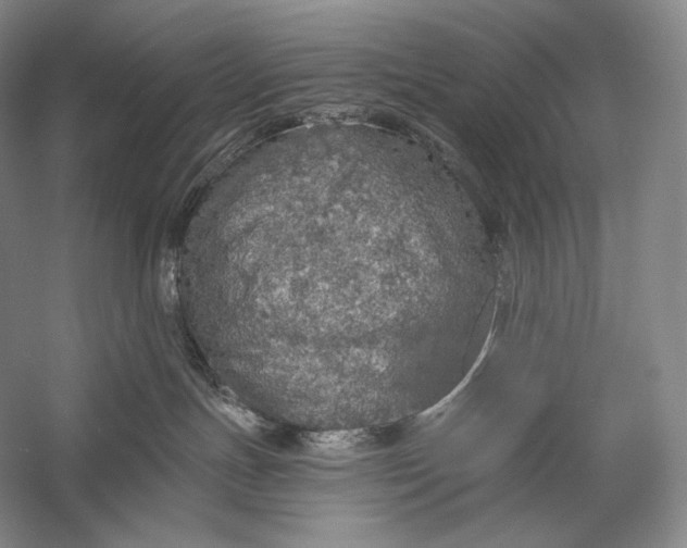 X0000058780191200510171303