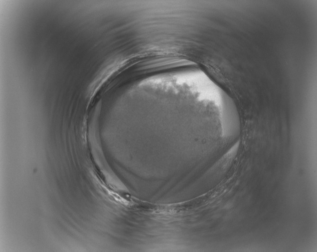 X0000058780194200510171302