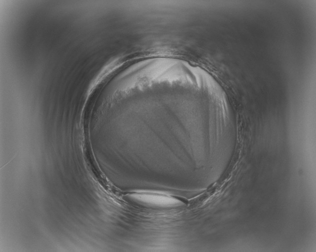 X0000058780198200510171302