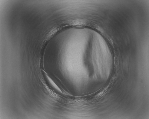 X0000058780201200510171302