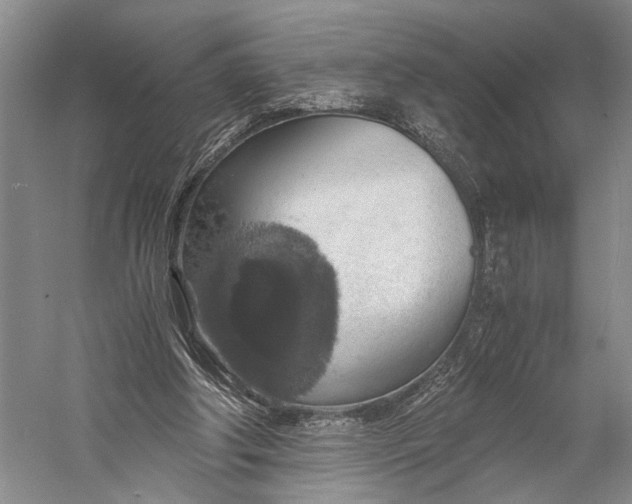 X0000058780202200510171302