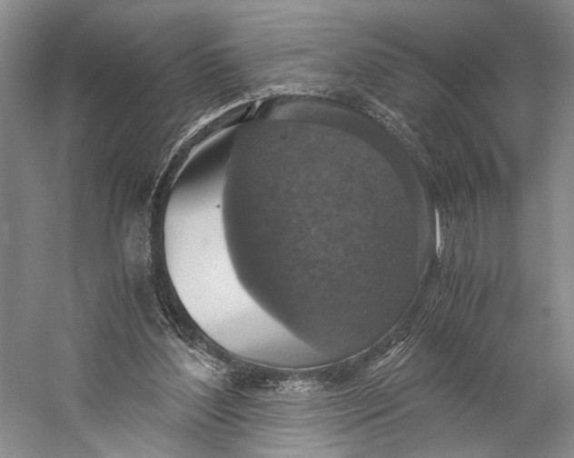 X0000058780204200510171302